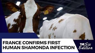 France Confirms First Human Shamonda Virus Case After Death