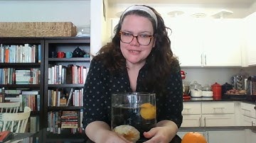 STEM Time: Sink or Float? Water & Oranges