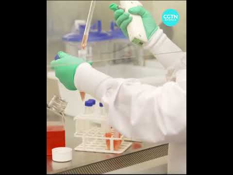 US skips World AIDS Day