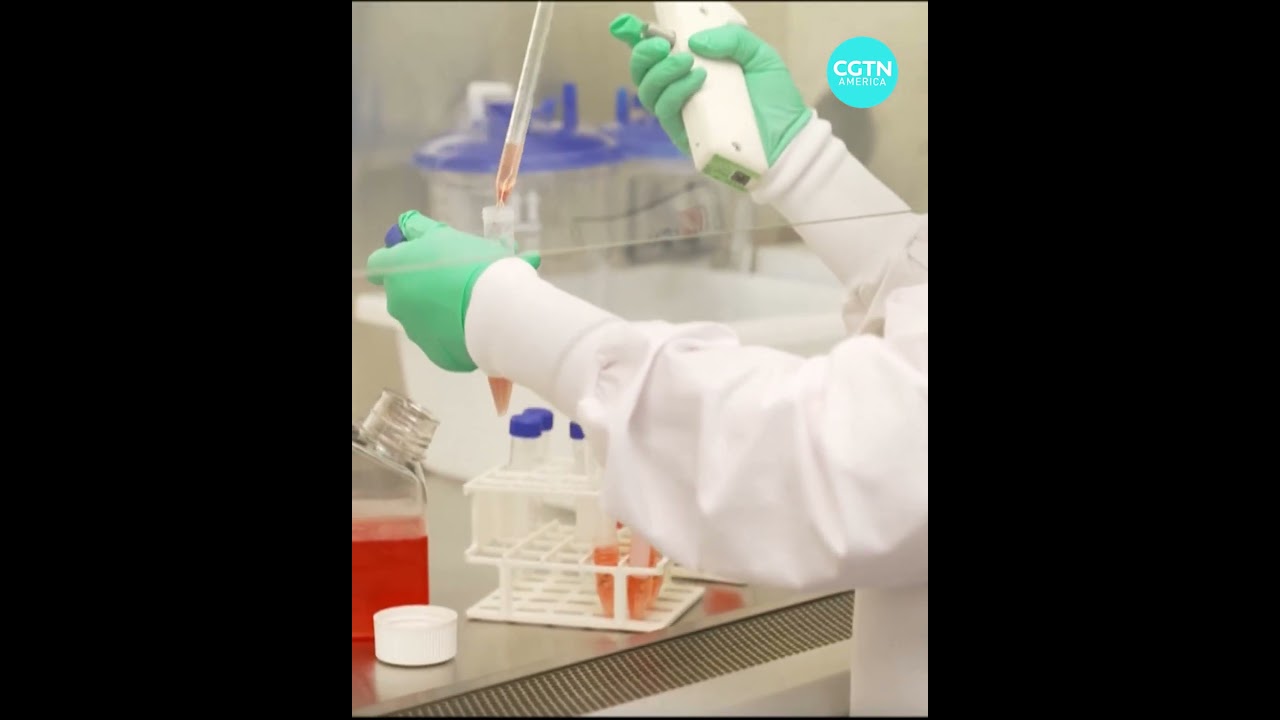 US skips World AIDS Day