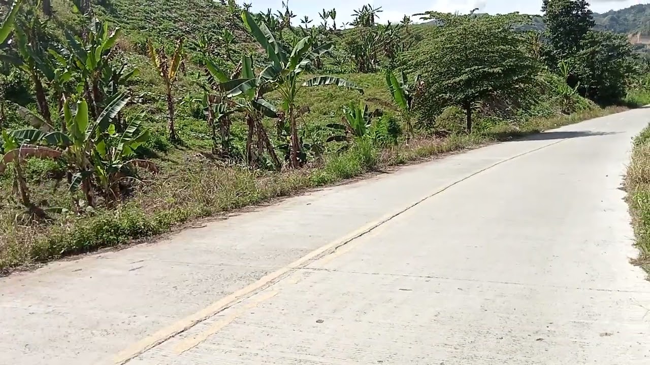 SAGASAAN BARANGAY BUKIDNON UPDATE JAN. 01.2026