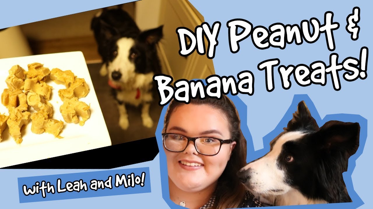 Is Banana Skin Poisonous To Dogs