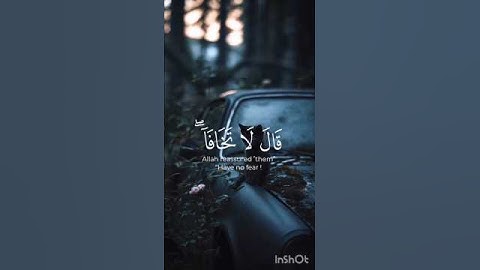 قال لا تخافا إنني معكما 🎧| تلاوة تلامس القلب بصوت محمد ديبيروف 💖✨