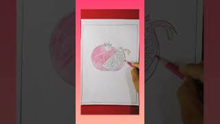HOW TO DRAW A POMEGRANATE shorts drawing pomegranate