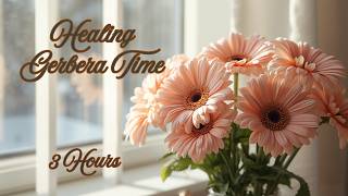 Quiet Gerbera Space | Gentle Ambient Music (3 Hours) screenshot 2