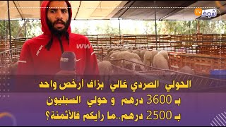 الحولي  الصردي غالي  بزاف أرخص واحد بـ 3600 درهم  و حولي  السبليون بـ 2500 درهم..ما رأيكم فالأثمنة؟