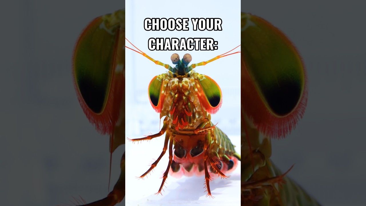 CHOOSE YOUR CHARACTER! Fish Edition Episode 1!