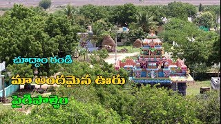 మా ఊరు చూద్దాం రండి | Come See My Beautiful Village Paidipalem |Simhadripuram | Pulivendula | Kadapa