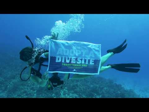 AWARE Week | Sept 15-23