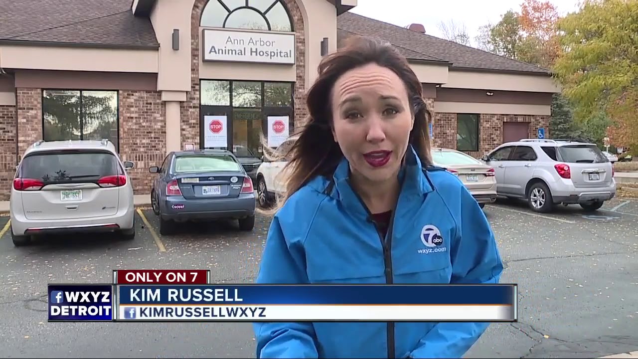 Woman says Petland in Novi sold her family a sick puppy