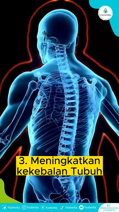 TERNYATA DAGING KAMBING MEMILIKI BAYAK MANFAAT UNTUK TUBUH!.COBA LIAT DISINI GAES