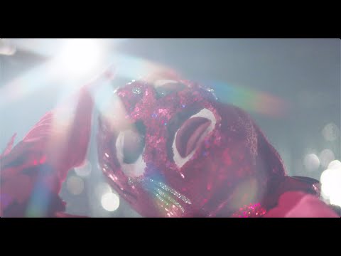 STRLING Effortlessly Official Music Video