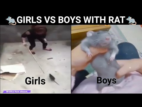 Girls with rat VS Boys with rat | Funny video | Delta fun short | {∆} | #funnyvideo  | #shorts