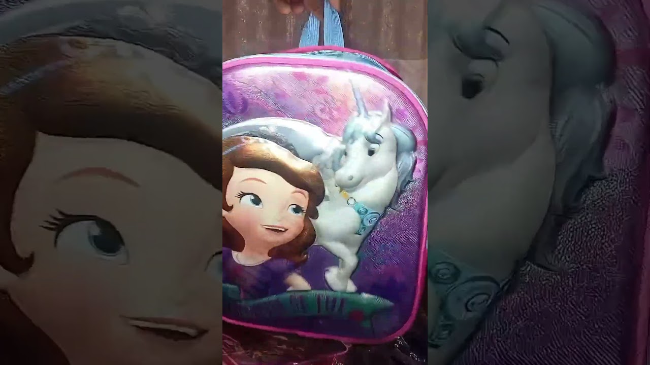 Toddlers School Bag
