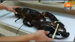 Korean Street Food GIANT LOBSTER Cheese Korea Seafood