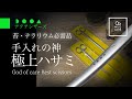 苔テラリウム『手入れの神 極上ハサミ』DOOA アクアシザース AQUA SCISSORS
