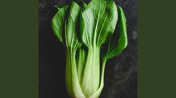 Debonair Jazz Saxophone - Vibe for Coffee Time