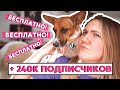 БЫСТРО раскрутить тик ток С НУЛЯ // это работает!