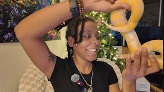 Road to becoming a Creative Director: I film, direct, act and edit for BoomBox ft. my snake Akbar