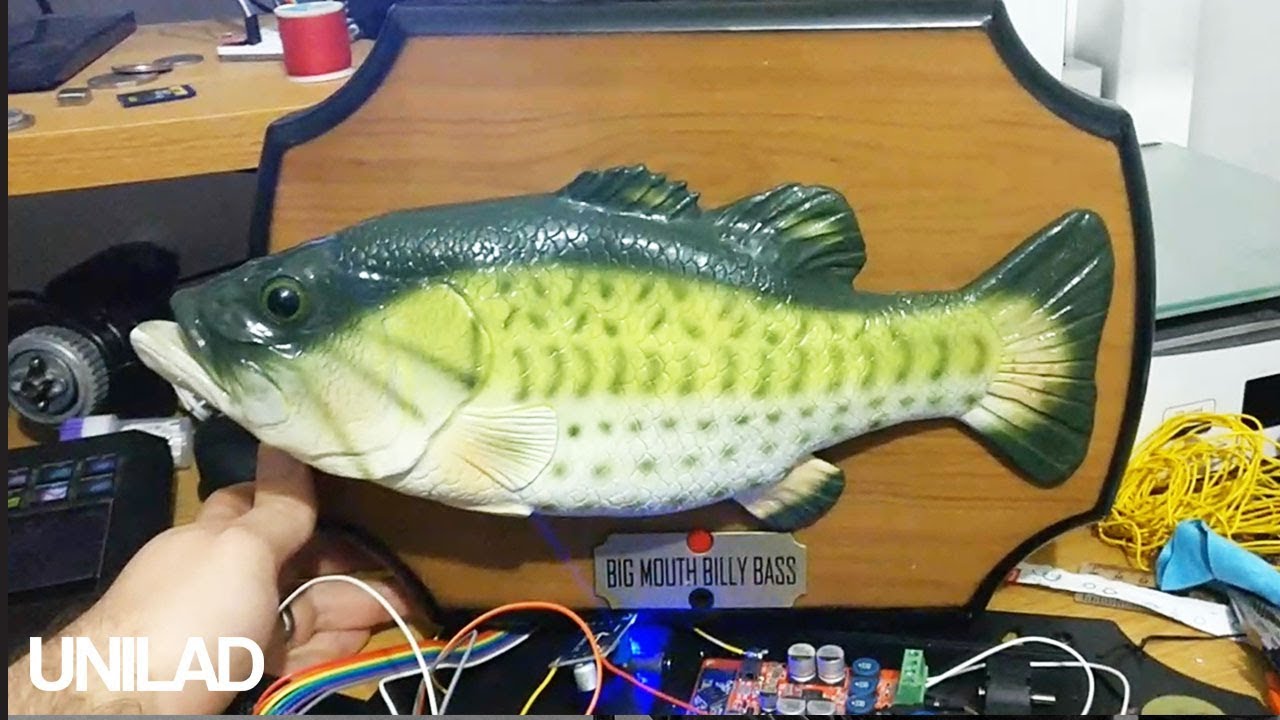 try not to laugh challenges Billy Bass Making Animal Sounds | UNILAD