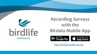 Mobile App Survey Record screenshot 2