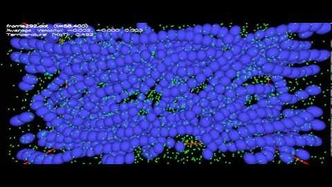 Polymer fluid flow under shear