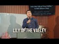 Lily of The Valley (medley)
