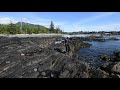 Intertidal zone, Tatchu Peninsula, Vancouver Island