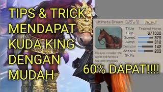 Tips & Trik Mendapatkan Kuda King Dengan Mudah di Dynasty Warriors 6