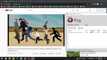 How to Download Youtube Videos, YTD tutorial video