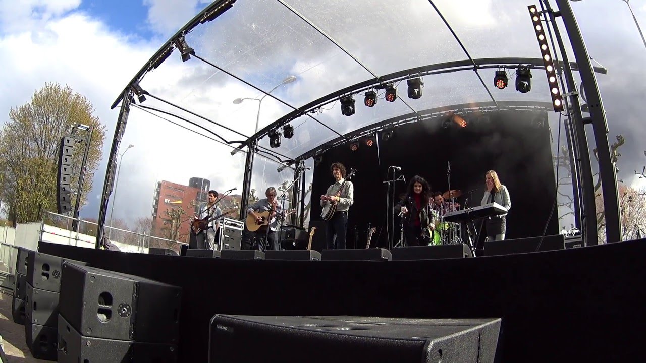 Biosonix - Little Lion Man