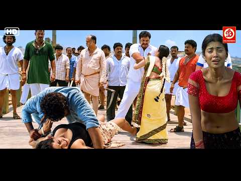 South Indian Hindi Dubbed Blockbuster Action Movie (HD) | Vishwa, Diya Superhit Movie