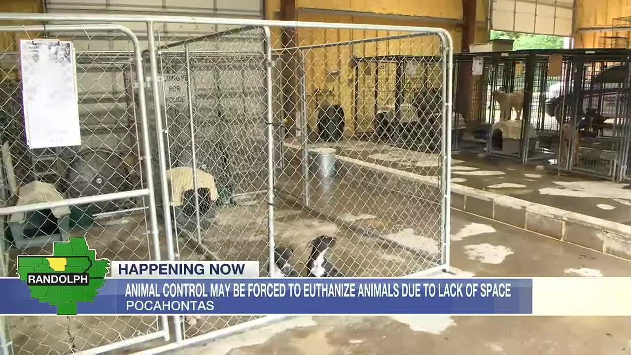 pocahontas-animal-control-may-be-forced-to-euthanize-animals-due-to
