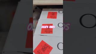 Ollie's Finds "Good stuff cheap" #viral #foryou #deals #basketmaking #discount