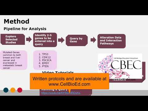 3. Results from Cancer Bio Portal