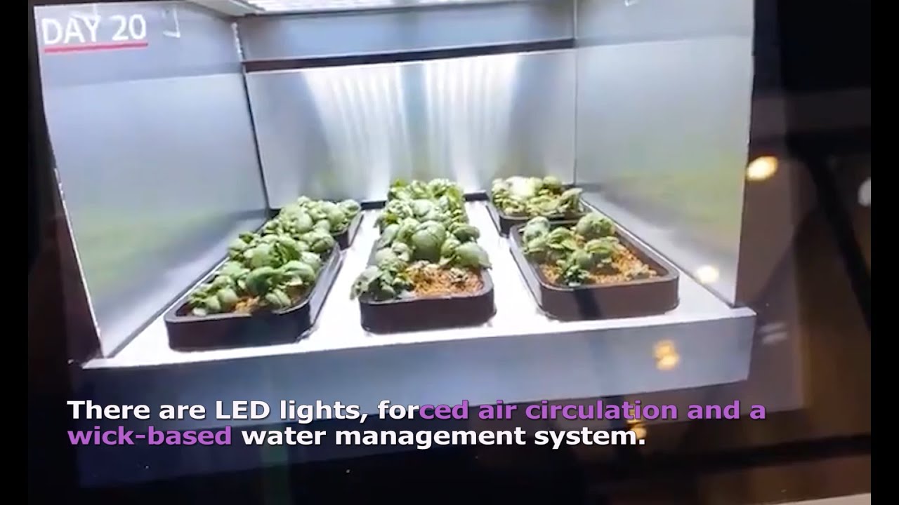 LG's herb fridge "indoor gardening appliance" YouTube