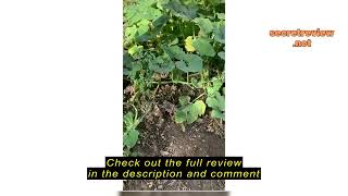 Review Victor M9012 Mole and Gopher Chemical Free Sonic Spike - Outdoor Mole and Gopher Repellent Guide