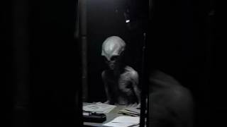 এলিয়েনদের কাছে পৃথিবীর ম্যাপ! 🛸🌏 The Voyager Golden Record Mystery 🛰️✨
