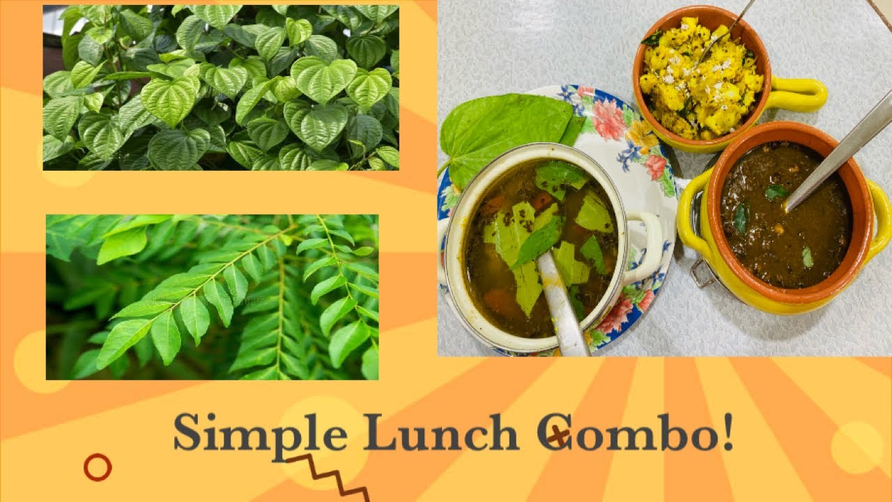 Simple Lunch Menu | Satvik Lunch to Soothe Stomach |   #sujanfunkitchen #simple lunch recipes | Sujan Fun Kitchen