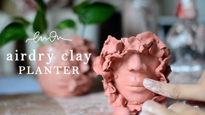 Sculpting with AIR DRY vs. POLYMER clay : PROs and CONs explained