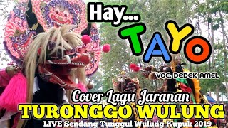 'HAY TAYO' Voc.Dhek AMEL (Cover Lagu Jaranan) TURONGGO WULUNG Live Sendang Tunggul Wulung Kupuk 2019