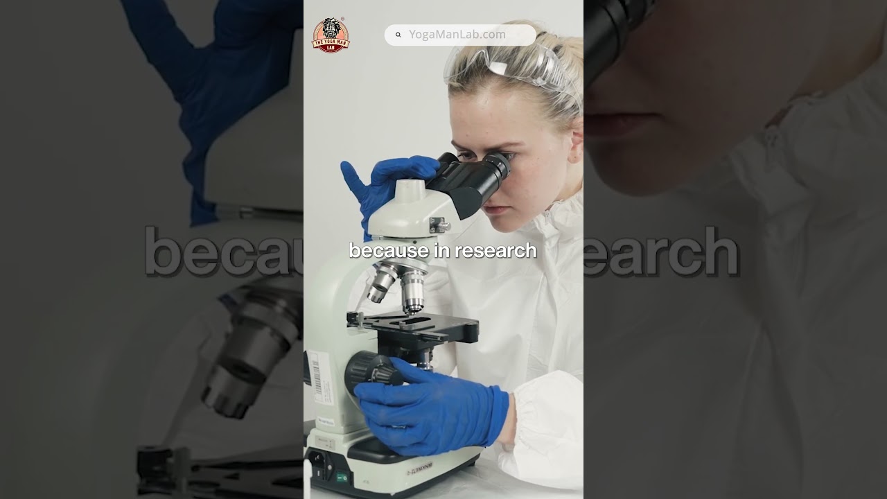 Gain Weight and muscle Too Fast? Boost Testosterone Naturally with Plantosterone | THE YOGA MAN LAB