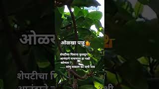 #birdwatching ✅#nature #birds original sound✅#Indian birds#bird lovers✅