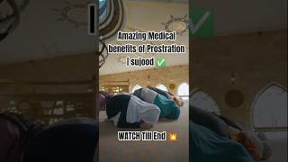 Download Lagu “Scientific Miracle of Sujood: What Happens to Your Brain in Sajdah?” #sujud #prostration#salah#deen MP3 Download Lagu “Scientific Miracle of Sujood: What Happens to Your Brain in Sajdah?” #sujud #prostration#salah#deen MP3
