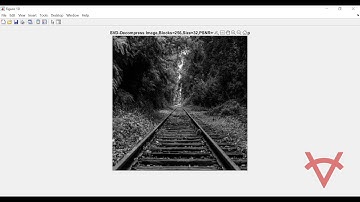 SINGULAR VALUE DECOMPOSITION AND NON NEGATIVE MATRIX FACTORIZATION METHODS FOR IMAGE COMPRESSION