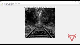 Famous SINGULAR VALUE DECOMPOSITION AND NON NEGATIVE MATRIX FACTORIZATION METHODS FOR IMAGE COMPRESSION Profile