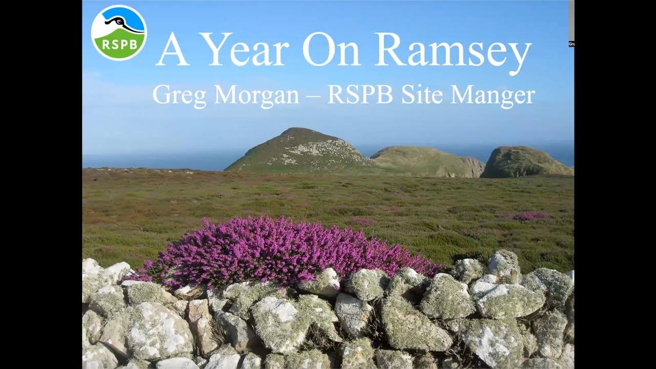 Morgan Ramsay A Year on Ramsay with Greg Morgan - YouTube