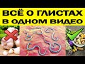 АНАЛИЗЫ  НЕ РАБОТАЮТ!   СИМПТОМЫ, ПРОФИЛАКТИКА, ЛЕЧЕНИЕ от глистов -  всё в одном видео !!!