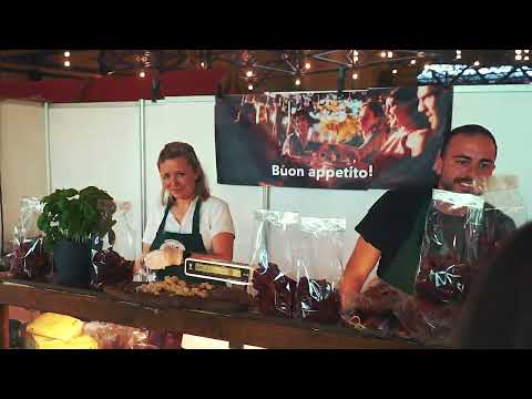 Vinessio 2022 -
