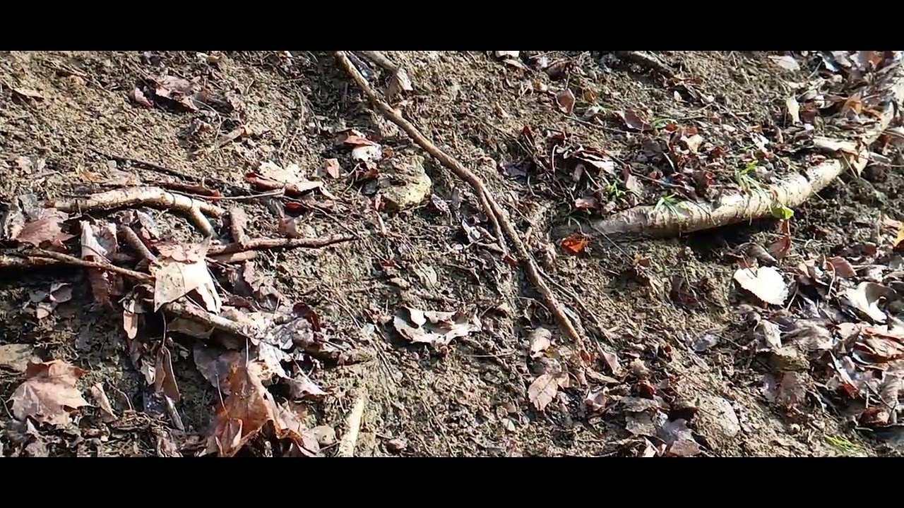 Beadlock failure 🤔